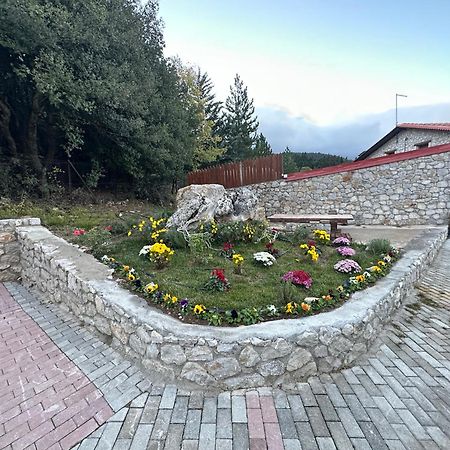 Parnassos Chalets Arachova Exteriör bild