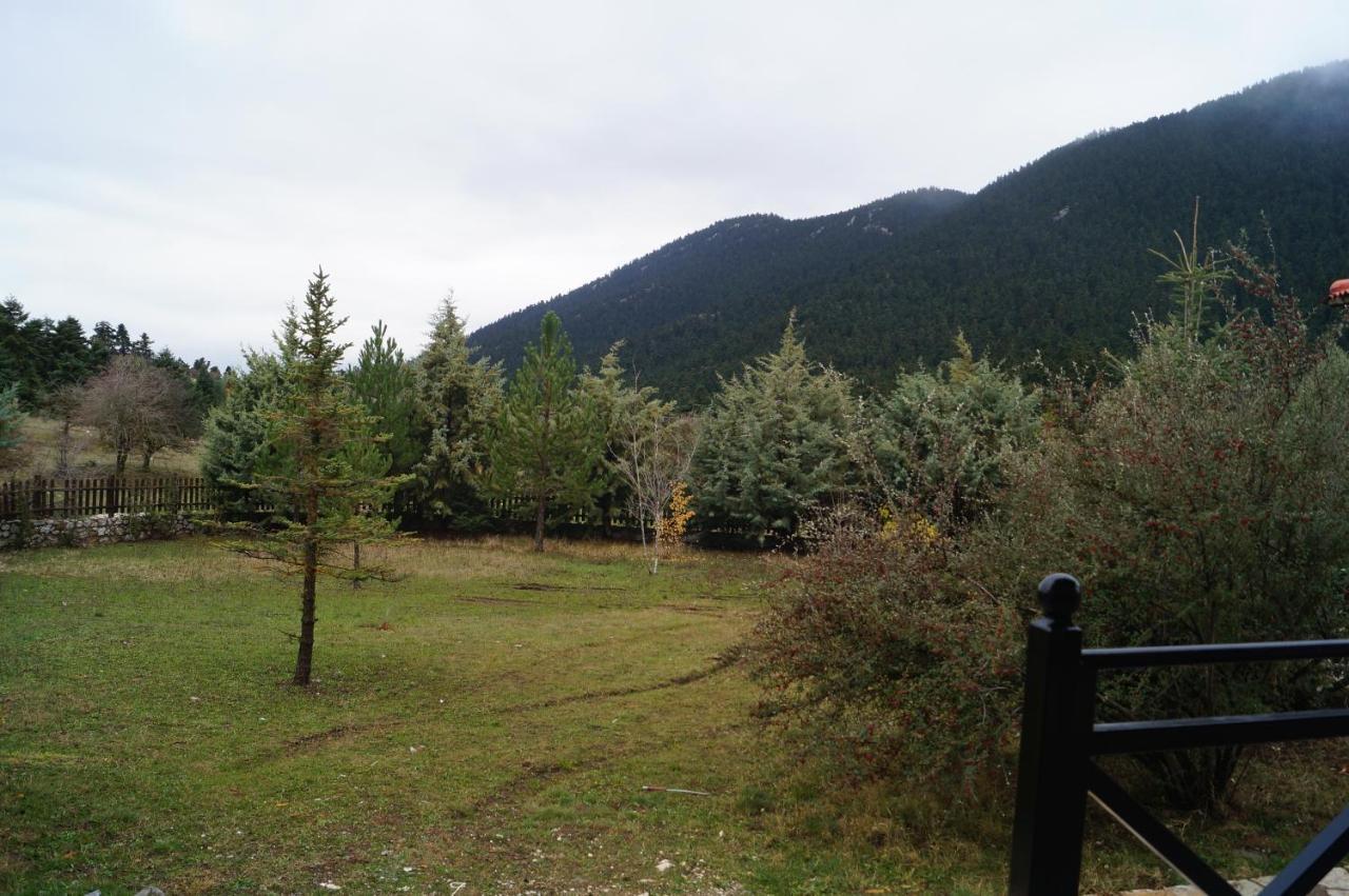 Parnassos Chalets Arachova Exteriör bild